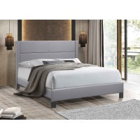 IF-5353 Grey PU Double, Queen Bed with Contrast Stitching. (Online only)