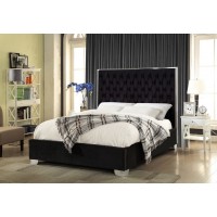IF-5542 Black Velvet Fabric Queen, King bed  with Deep Tufting and Chrome Trim on Headboard. (Online Only)